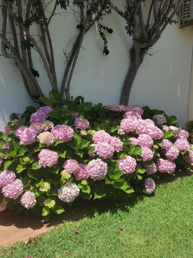 Luxury 3 Bedroom Villa With Private Pool กาบานัส เด ตาวีรา ภายนอก รูปภาพ